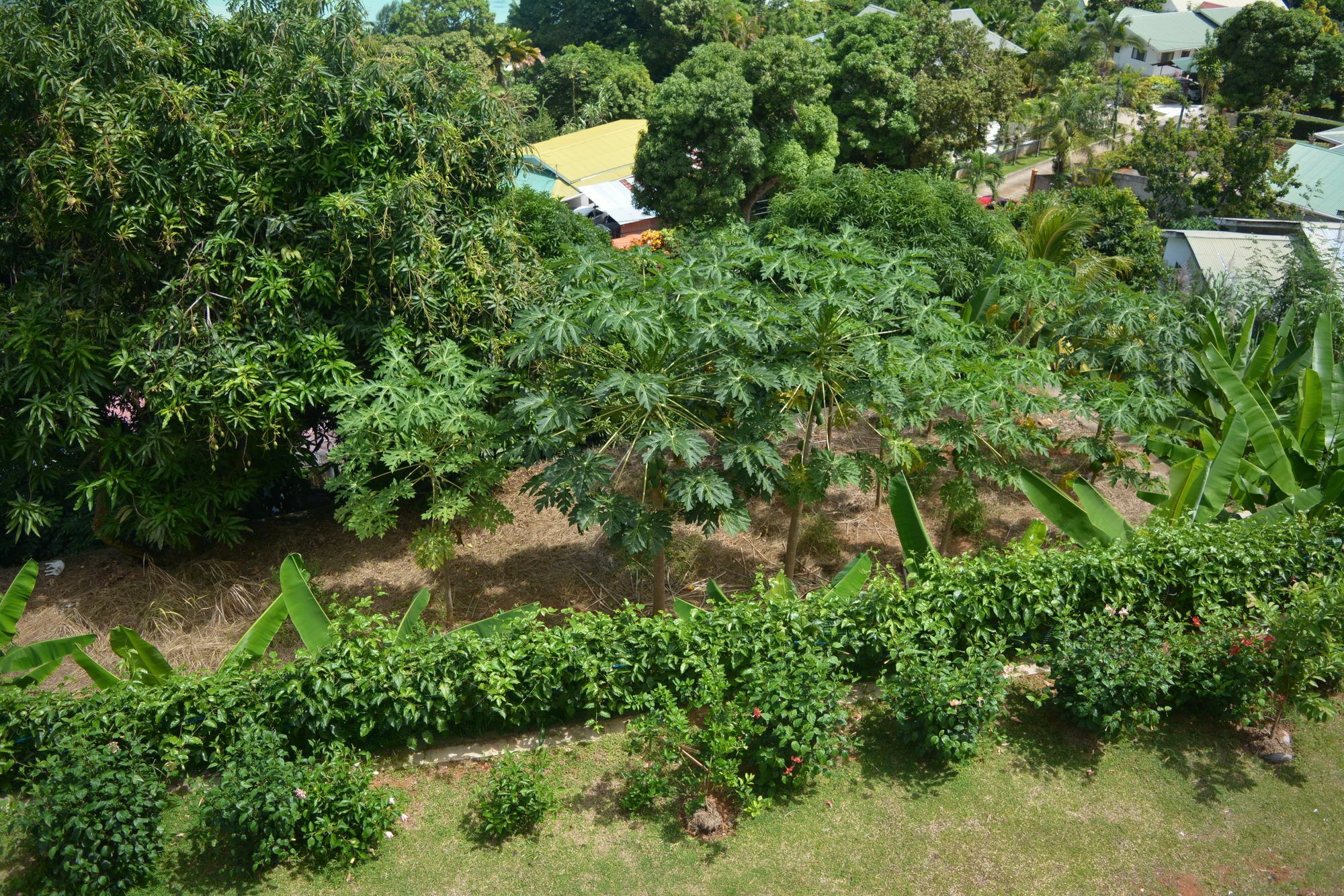 昂斯布瓦洛曼菲奥宾馆公寓 外观 照片